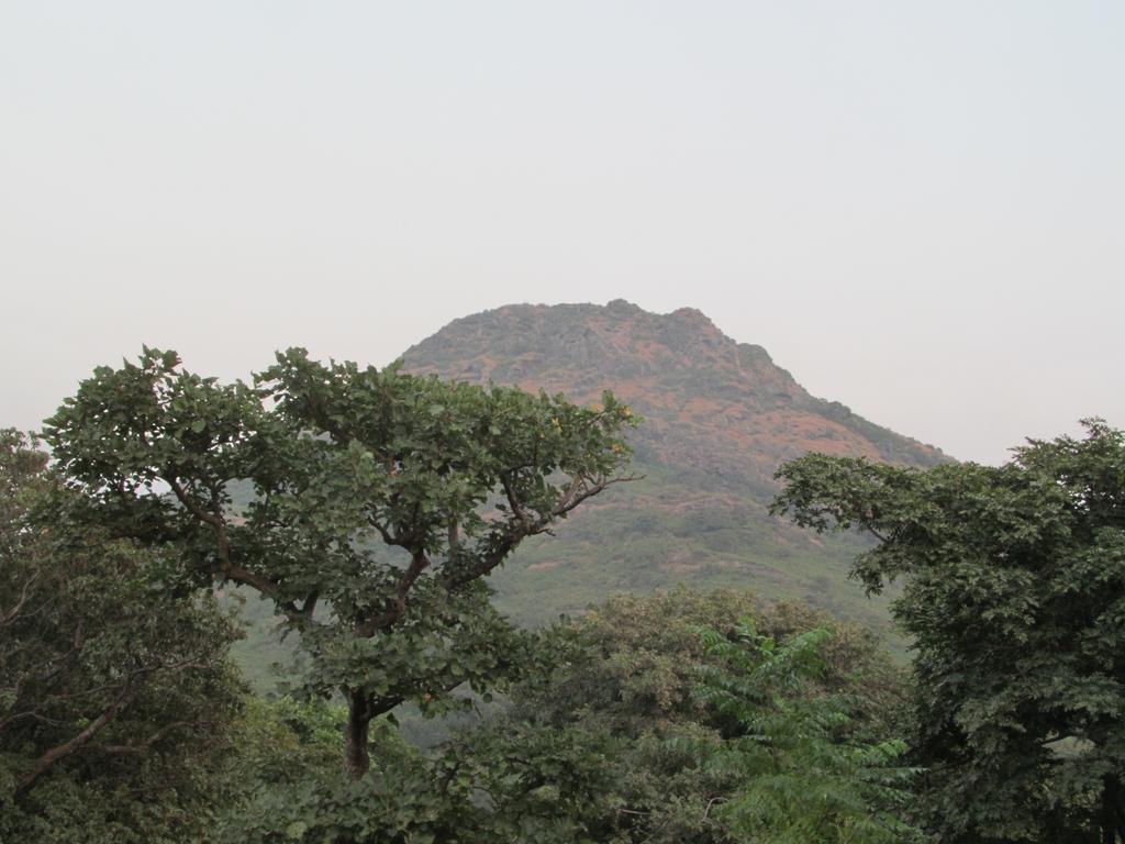 Forest Eco Lodge Mount Abu Εξωτερικό φωτογραφία