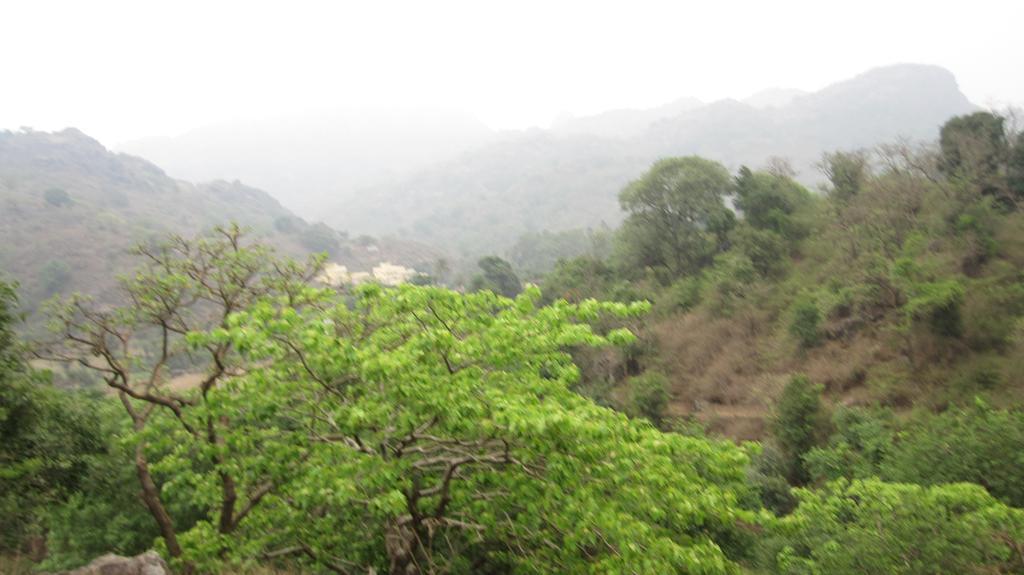 Forest Eco Lodge Mount Abu Εξωτερικό φωτογραφία